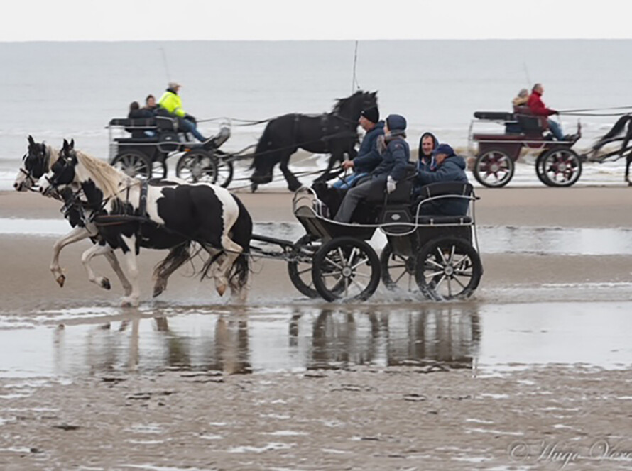 koetsentocht-op-het-strand